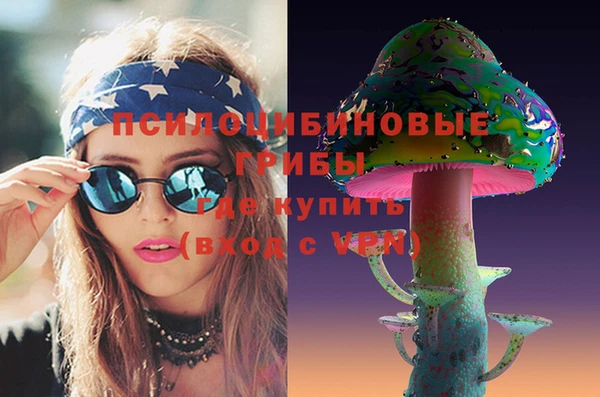 сатива Баксан