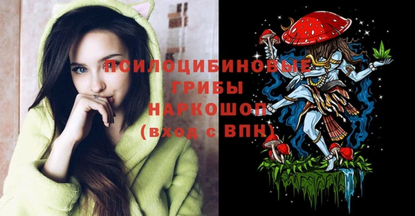 ECSTASY Балахна