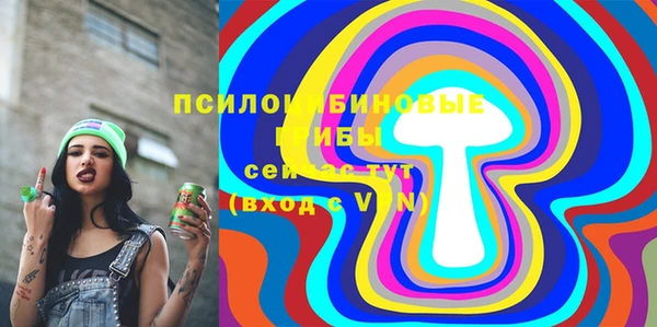 ECSTASY Балахна