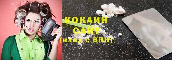 сатива Баксан