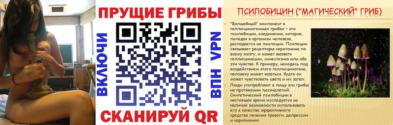 ссылка на мегу зеркало  Новая Ляля  Псилоцибиновые грибы MAGIC MUSHROOMS 
